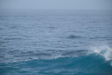 Breathtaking Ocean Waves at Tsitsikamma National Park