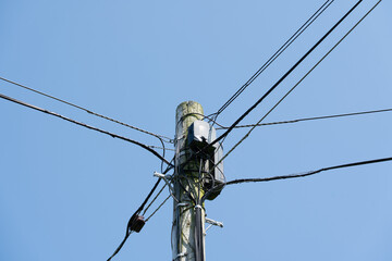 Communication and power cables being routed on a wooden telegraph post