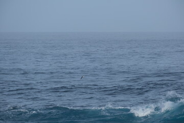 Majestic Ocean Waves at Tsitsikamma National Park