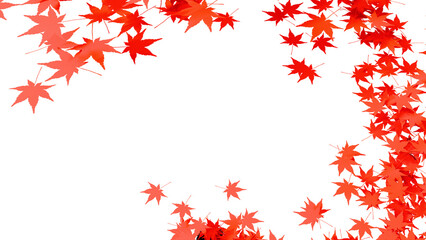 秋の紅葉の乱舞：背景透過