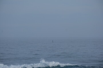 Obraz premium Misty Ocean Waves at Tsitsikamma National Park