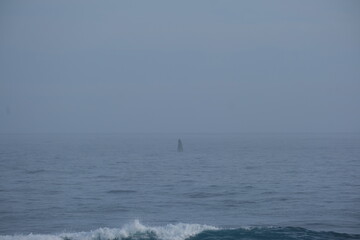 Obraz premium Misty Ocean Waves at Tsitsikamma National Park