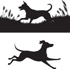 Silhouette of a running dog in motion across the grass symbolizing energy agility freedom and playful behavior in outdoor natural environment