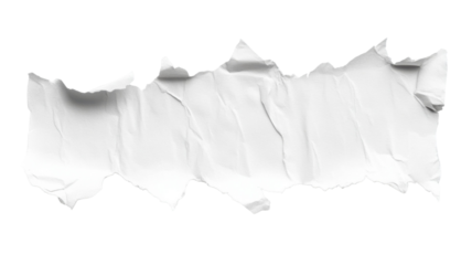 White torn ripped paper edge isolated on white background