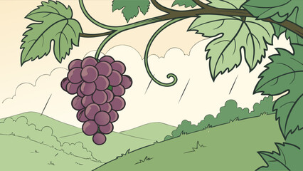 Illustration of ripe grapes hanging from vine with leaves in vineyard landscape with rolling hills view