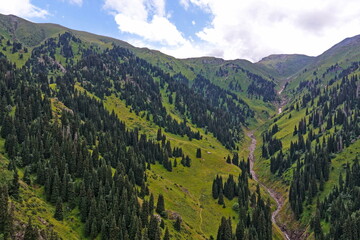 Ile-Alatau National Park. Mountainous area with different vegetation near Almaty. The Tian Shan...