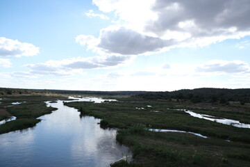 Serene Wetland in Kruger National Park: A Natural Haven