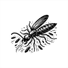 Wasp isolated on white background