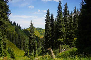 Ile-Alatau National Park. Mountainous area with different vegetation near Almaty. The Tian Shan...
