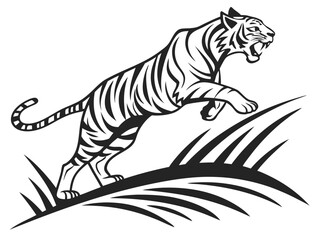 tiger on a white background