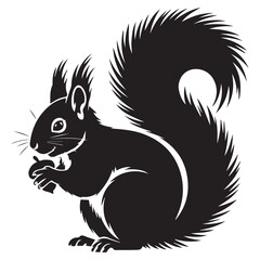 Black squirrel art features a cute animal illustration eating an acorn, isolated on a white backdrop for design.