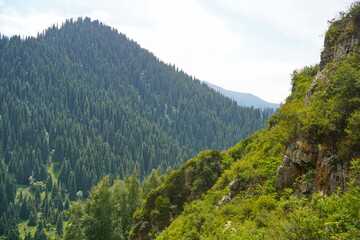 Ile-Alatau National Park. Mountainous area with different vegetation near Almaty. The Tian Shan Mountains.
