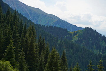 Ile-Alatau National Park. Mountainous area with different vegetation near Almaty. The Tian Shan Mountains.