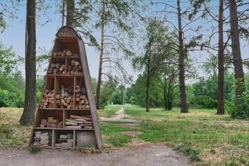 Insect Hotel in Forest Park