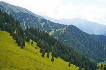Fototapeta premium Ile-Alatau National Park. Mountainous area with different vegetation near Almaty. The Tian Shan Mountains.