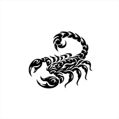 Fototapeta premium Scorpion isolated on white background