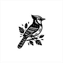 Obraz premium Blue jay isolated on white background
