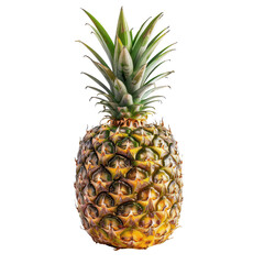 Fototapeta premium Single pineapple, vibrant yellow-gold skin, bright green crown