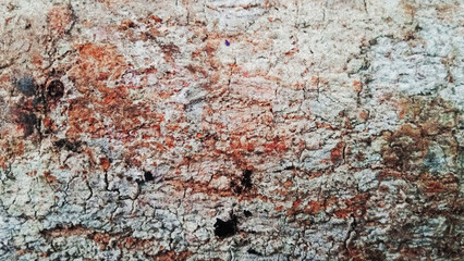 Abstract Textured Stone Grunge Surface
