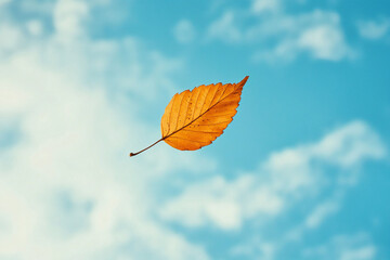 Single Orange Leaf Floating Against Bright Blue Sky Background