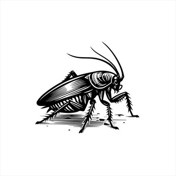 black cockroach insect detailed drawing clip art preview