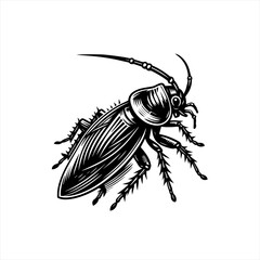 Obraz premium A cockroach is crawling on an isolated on white background