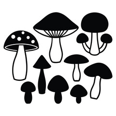vector illustration of mushrooms collection on White Background