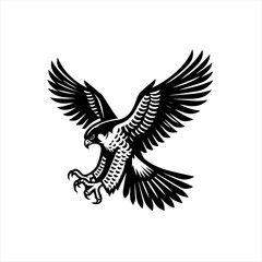 An eagle soars with wings spread isolated on white background