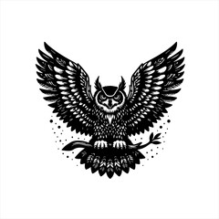 Fototapeta premium An owl spreads its wings, isolated on white background