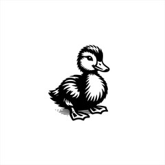 Fototapeta premium Illustration of a duckling isolated on white background