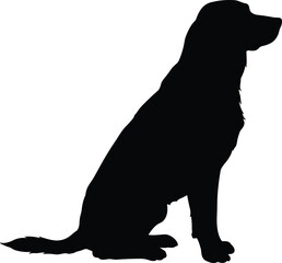 Dog silhouette, sitting pose, black background, pet illustration, canine graphic, animal outline, Adobe Stock, stock image, minimalist art, side view, dog profile, pet design
