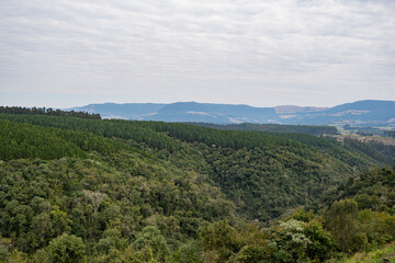 Golden sunset over the rolling green hills of a rural farm in Paraná, Brazil. A peaceful and serene countryside landscape with a rustic fence in the foreground