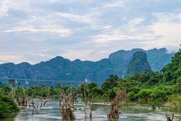 Beautiful green nature, trees in the water and mountain in the south of Laos, Khammuane province 