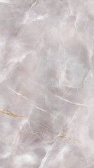 Obraz premium Elegant Light Grey Marble Texture Background with Veins