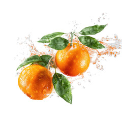 Two juicy oranges in water splash, fresh and vibrant