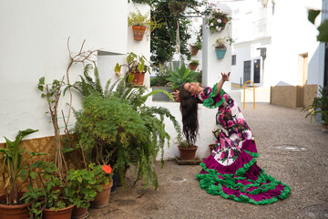 Young woman, beautiful, brunette, flamenco dancer, with a beautiful dress, dancing inside a nice...