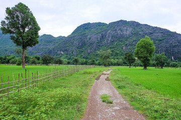 Fresh green rice paddies and rice fields in the south of Laos, with the background of a foggy cloudy mountain, Khammuane Province, Laos   