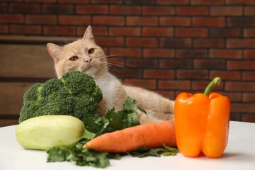 Cat and different vegetables on white table indoors. Pet's balanced diet