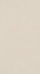 Beige Canvas Paper Texture Background with Fibers