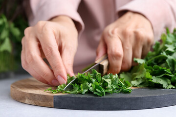 Woman cutting fresh green cilantro at light table, closeup
