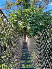 Canopy Walk, zipline and biking in the tropical rainforest jungle, La Foret in Laos