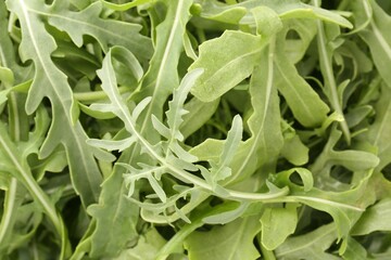 Fresh ripe green arugula leaves as background, top view