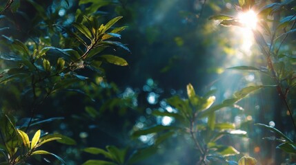 Sunlight Streaming Through Lush Green Foliage, Creating a Serene and Peaceful Ambience in a Vibrant, Natural Environment