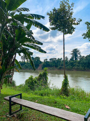 Canopy Walk, zipline and biking in the tropical rainforest jungle, La Foret in Laos