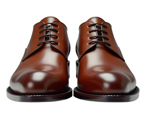 Elegant brown leather oxford shoe footwear. classic formal choice for professional men