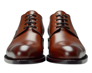 Elegant brown leather oxford shoe footwear. classic formal choice for professional men