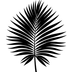 Obraz premium Palm Leaf Vector Silhouette