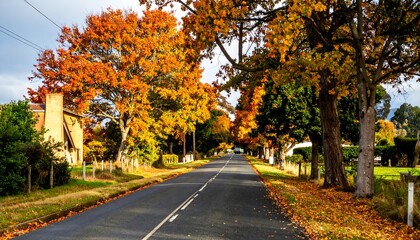 Naklejka premium Autumn road scene with trees and sky.