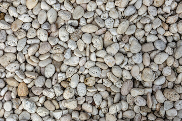 rounded river stone texture with a soft, blurred background, highlighting natural imperfections and organic patterns