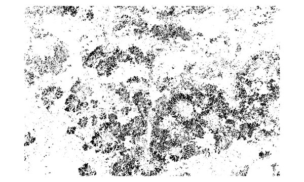 abstract grunge background, fungus grunge background, tungus vector, fungus texture design